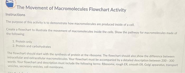 macromolecules flowchart