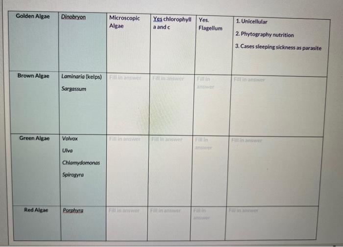 Solved 2. All protists are considered (choose eukaryotes or | Chegg.com