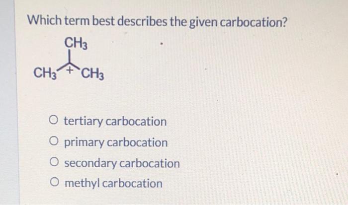 Which Term Best Describes