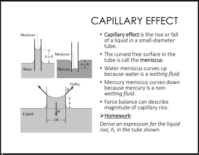 Solved CAPILLARY EFFECT Meniscus Meniscus h>0 h