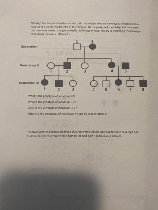 Solved Epistasis (20 points) Epistasis occurs when the | Chegg.com