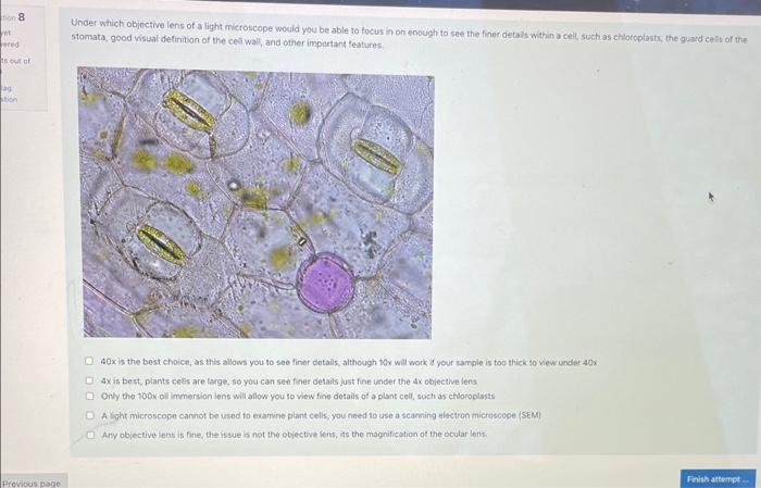 ForenScope on X: We demonstrated the performance of urine stain by  applying urine stain on light-colored underwear and developing it the day  after. The image was developed with #Forenscope Forensic Tablet; it's