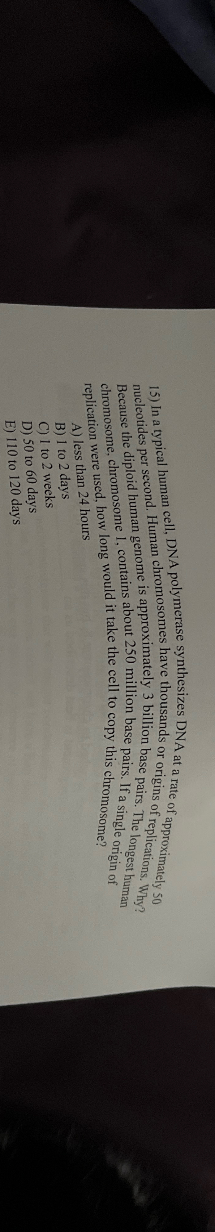 Solved In a typical human cell, DNA polymerase synthesizes | Chegg.com 