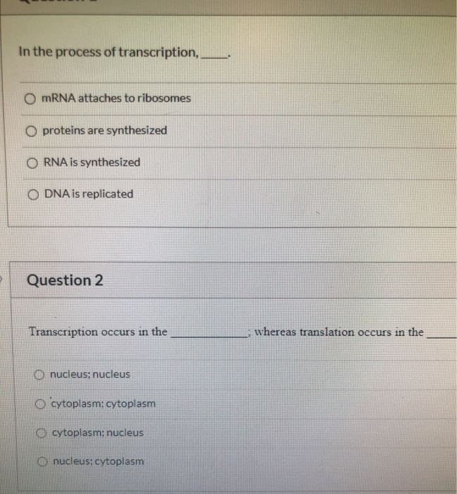 Solved In the process of transcription. O mRNA attaches to | Chegg.com
