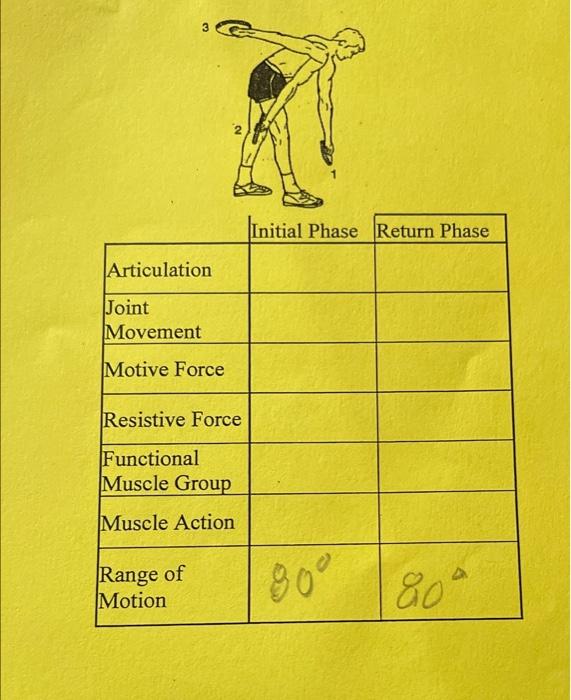 Solved In Class I Performed The Exercise Along With Measured | Chegg.com