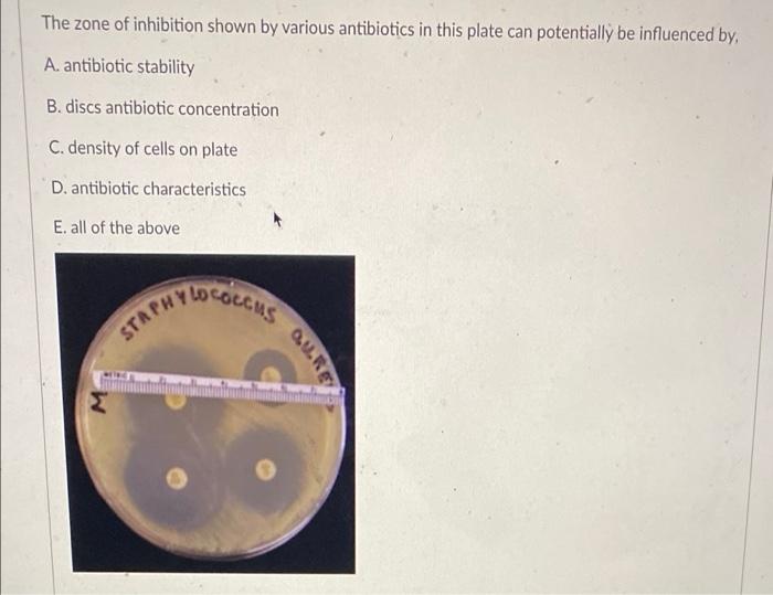 Solved The zone of inhibition shown by various antibiotics | Chegg.com