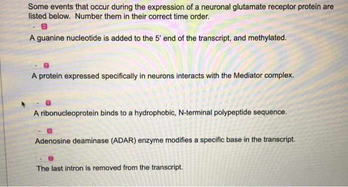 solved-some-events-that-occur-during-the-expression-of-a-chegg