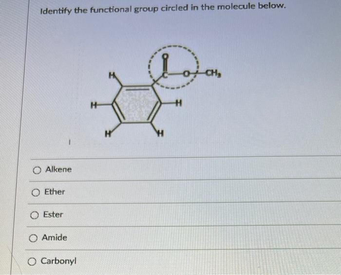 Solved Identify the functional group circled in the molecule | Chegg.com