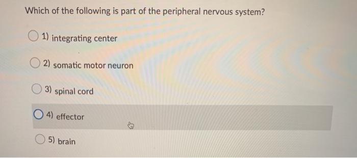 Solved Which of the following is part of the peripheral | Chegg.com