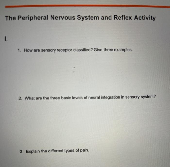 Solved The Peripheral Nervous System and Reflex Activity L | Chegg.com