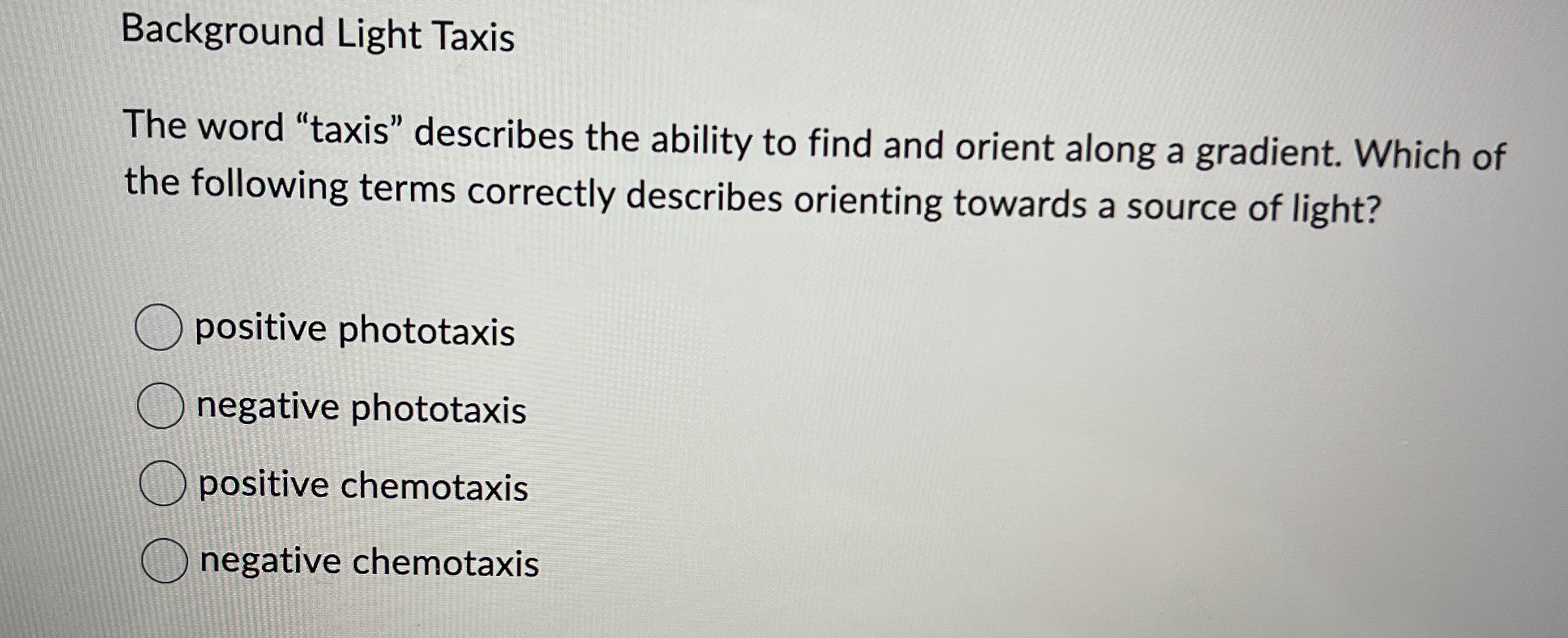Background Light TaxisThe word 