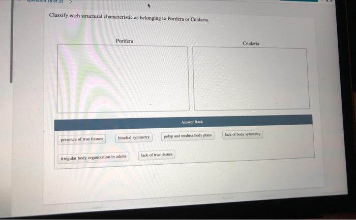 Solved Classify each structural characteristic as belonging | Chegg.com