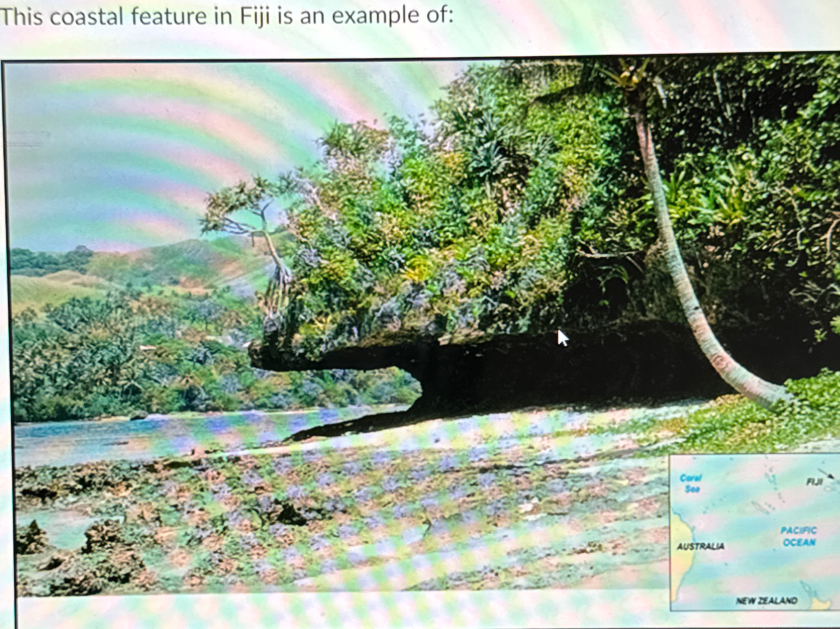 Solved This coastal feature in Fiji is an example of: | Chegg.com