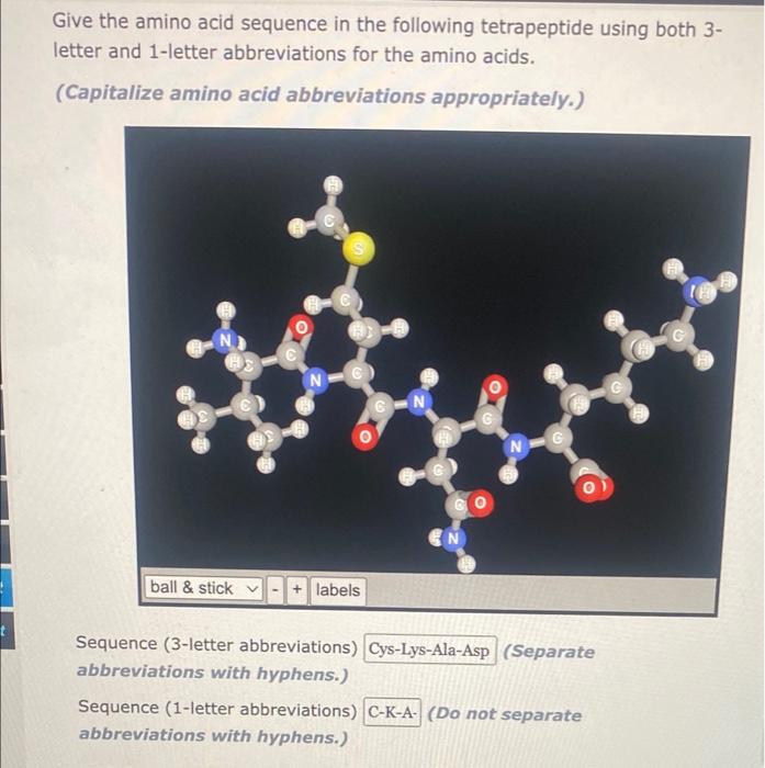 Solved Give the amino acid sequence in the following | Chegg.com