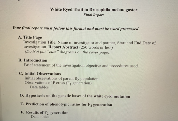 drosophila melanogaster lab report