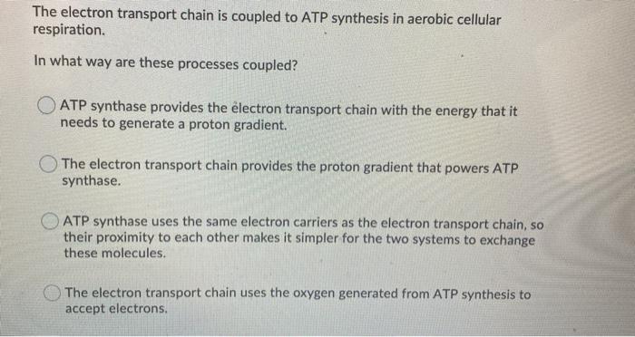 The electron transport chain is coupled to ATP synthesis in aerobic cellular respiration. In what way are these processes cou