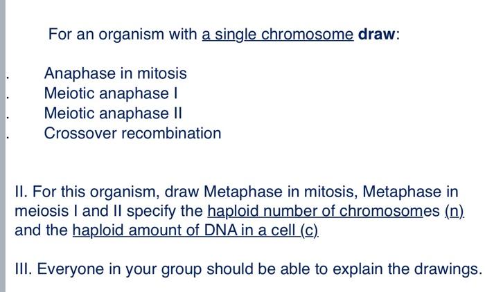 II. For this organism, draw Metaphase in mitosis, | Chegg.com