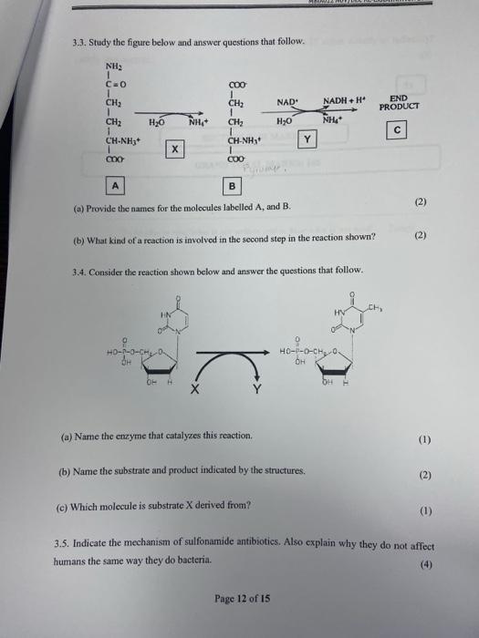 Solved 3.3. Study the figure below and answer questions that | Chegg.com