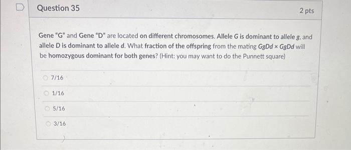 Gene  \( G \)  and Gene D are located on different chromosomes. Allele \( G \) is dominant to allele \( g \), and allele 