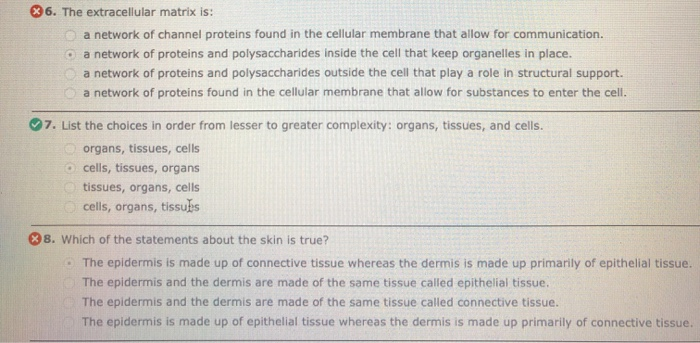 Solved x 22. are components of the animal extracellular | Chegg.com