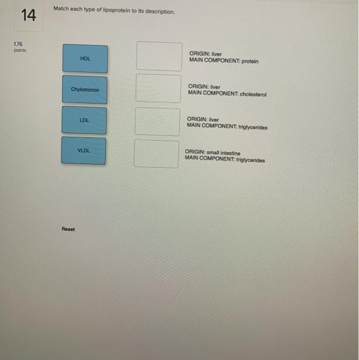 Solved Match each type of lipoprotein to its description 14 | Chegg.com