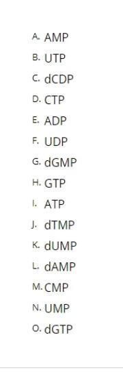 Solved Match Chemical Structures Of The Following Nucleot Chegg Com