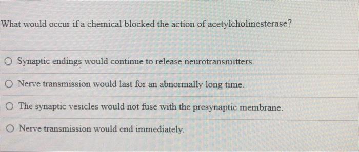 What would occur if a chemical blocked the action of acetylcholinesterase? Synaptic endings would continue to release neurotr