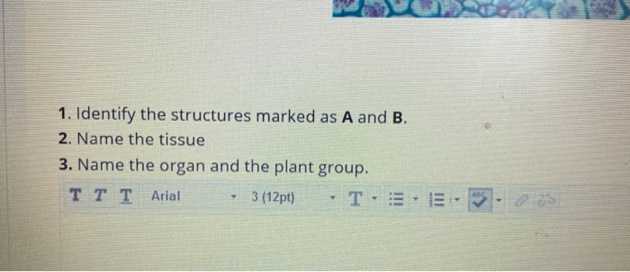 Solved B А 1. Identify The Structures Marked As A And B. | Chegg.com