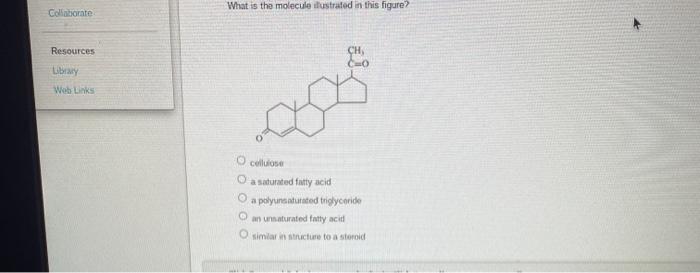 Solved What is the molecule illustrated in this figure? | Chegg.com