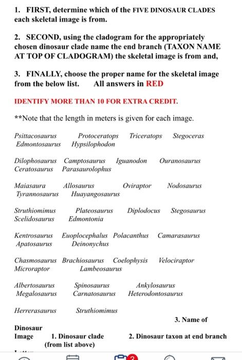 1. FIRST, determine which of the FIVE DINOSAUR CLADES
each skeletal image is from.
2. SECOND, using the cladogram for the app