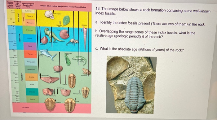 Fossils and rock layers worksheets image
