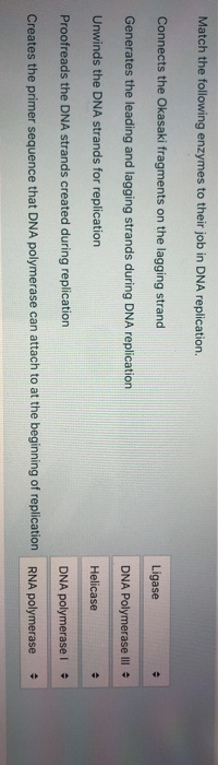 Solved Place the following steps of DNA replication in the | Chegg.com