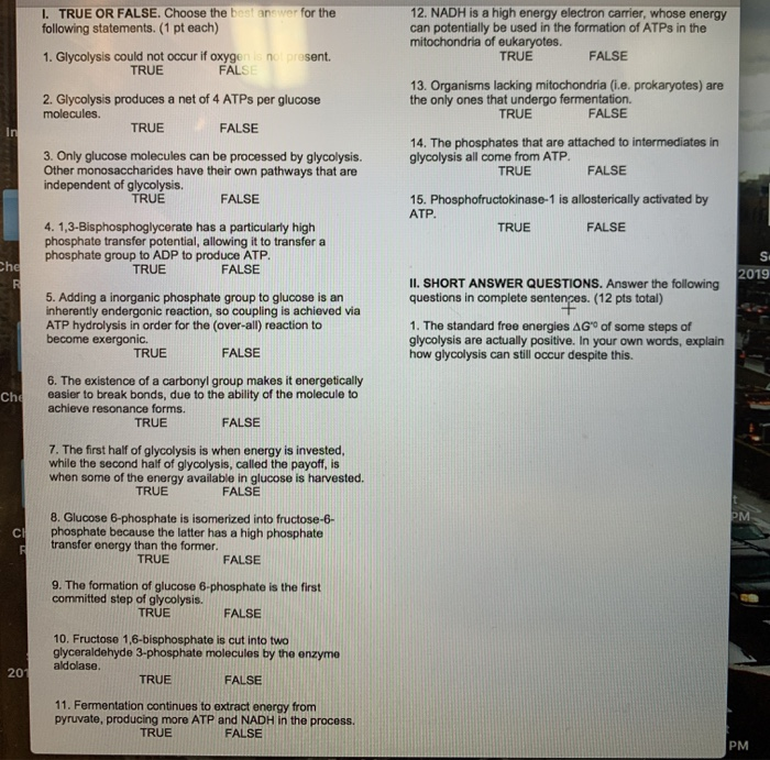 Solved can you please answer all of the question on this | Chegg.com