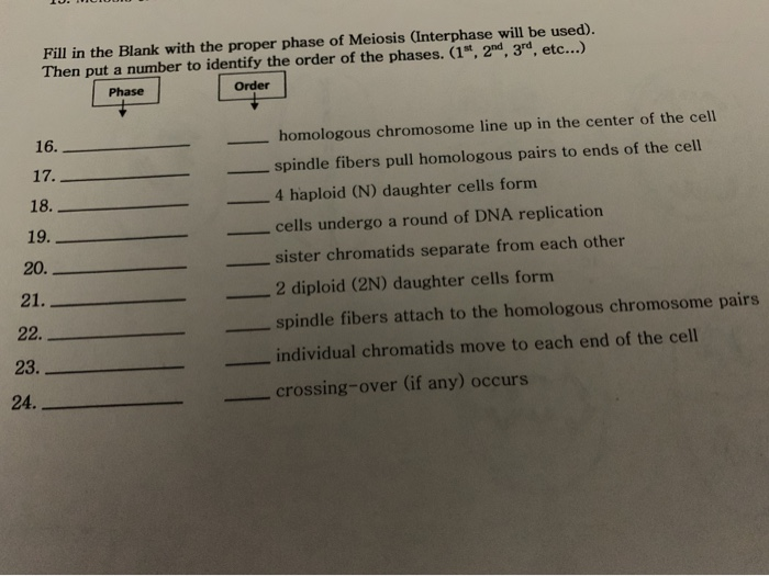 Fill In The Blank With The Proper Phase Of Meiosis Chegg Fill In The Blank With The Proper Phase Of Meiosis Chegg