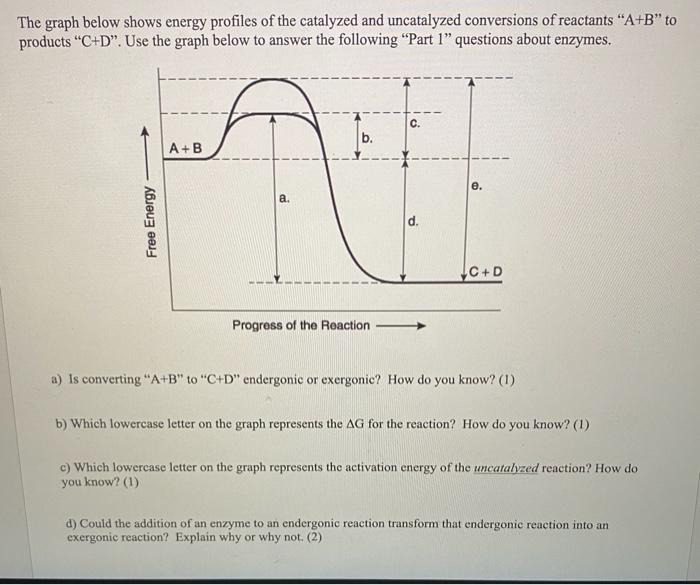 Solved The graph below shows energy profiles of the | Chegg.com