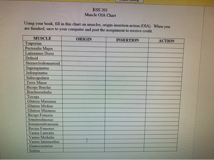 Solved: ESS 201 Muscle OIA Chart Using Your Book, Fill In | Chegg.com