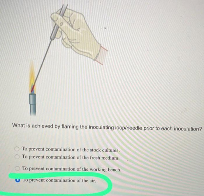 Solved What is achieved by flaming the inoculating