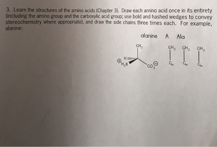 Solved 3. Learn the structures of the amino acids (Chapter | Chegg.com