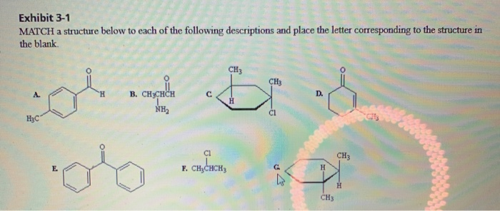 Exhibit 3-1 MATCH a structure below to each of the | Chegg.com
