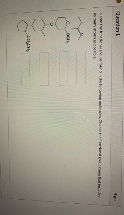 Solved Question 1 4 pts Name the functional groups found in | Chegg.com