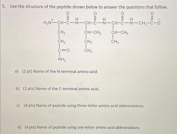 Solved Use The Structure Of The Peptide Shown Below To A 8987