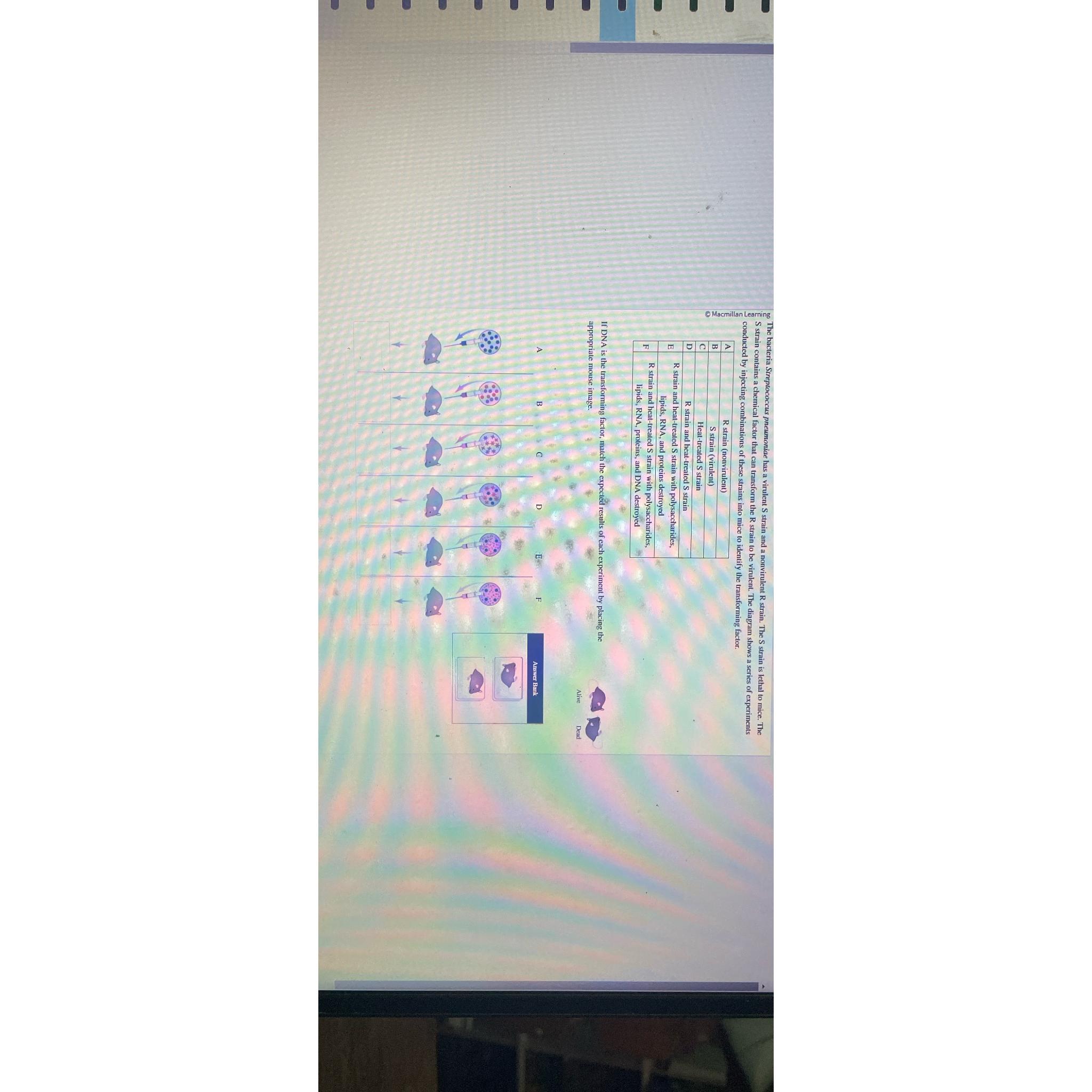 Genetics | Chegg.com