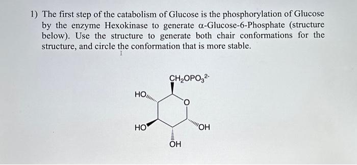 Solved 1) The first step of the catabolism of Glucose is the | Chegg.com