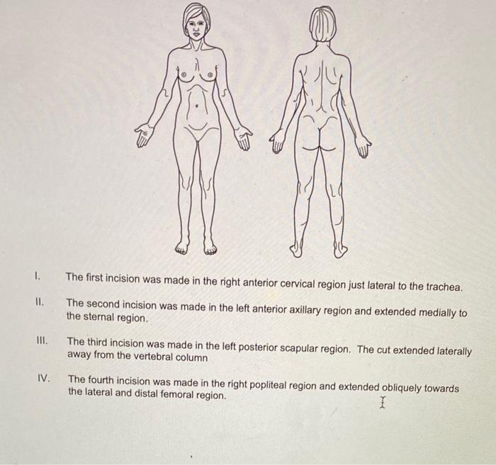 Solved I. The first incision was made in the right anterior | Chegg.com