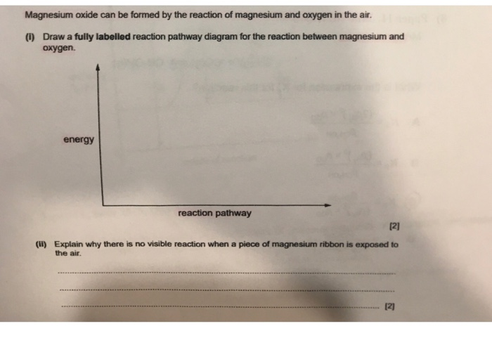 Solved Magnesium Oxide Can Be Formed By The Reaction Of M Chegg Com