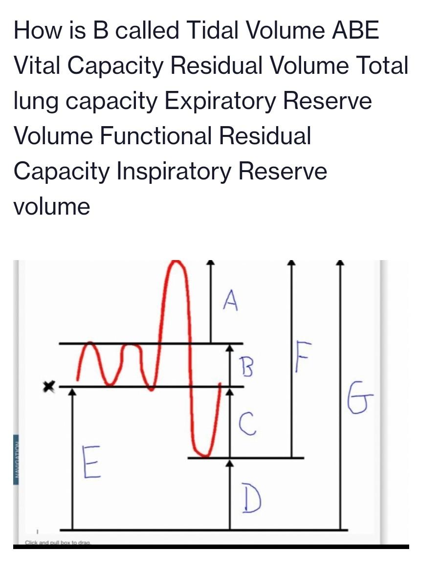 How is B called Tidal Volume ABE Vital Capacity