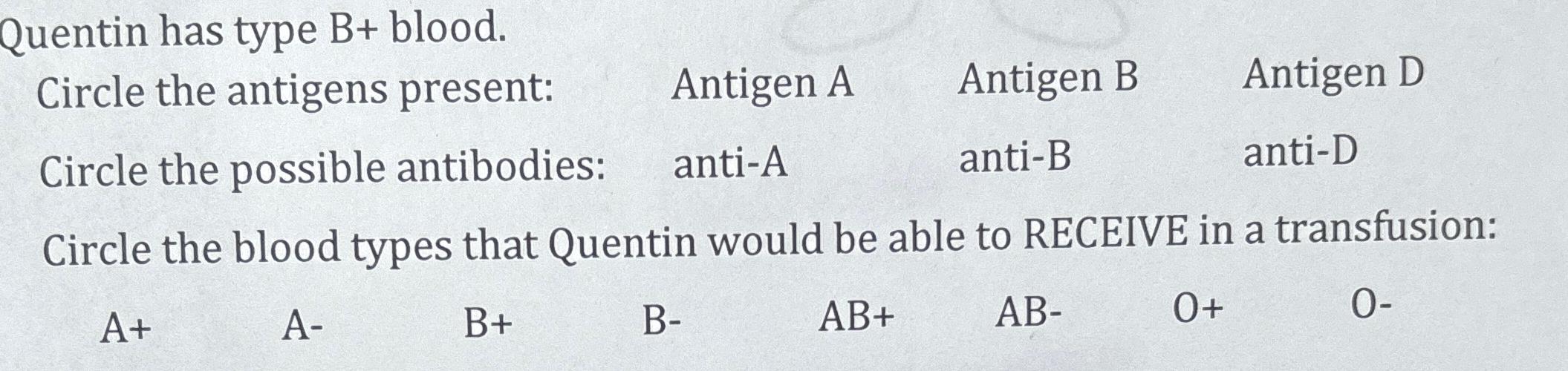 Solved Quentin has type B+ ﻿blood.Circle the antigens