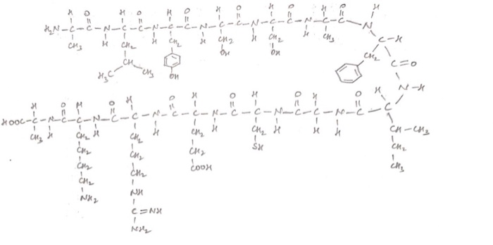 Solved Calculate The Pl Of This Polypeptide Chain Pl Mean Chegg Com