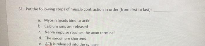 Solved 51. Put the following steps of muscle contraction in | Chegg.com