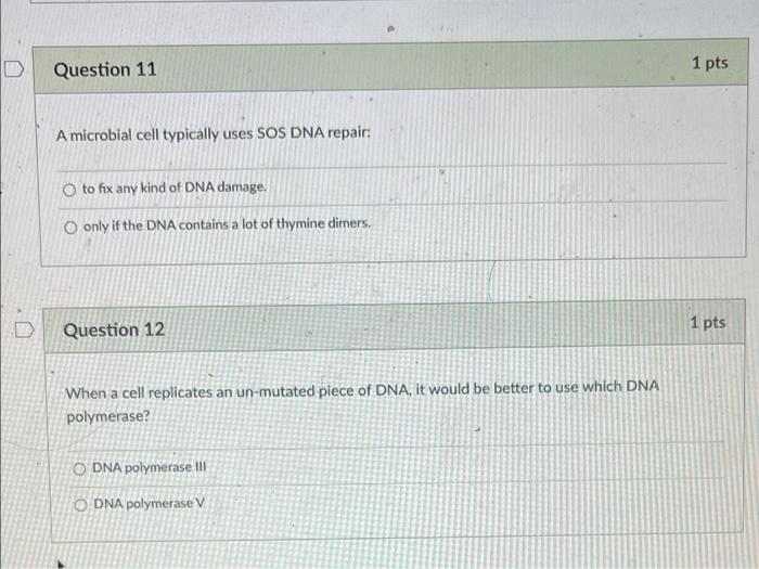 Solved Question 10 1 pts Exposure to UV light can lead to a | Chegg.com